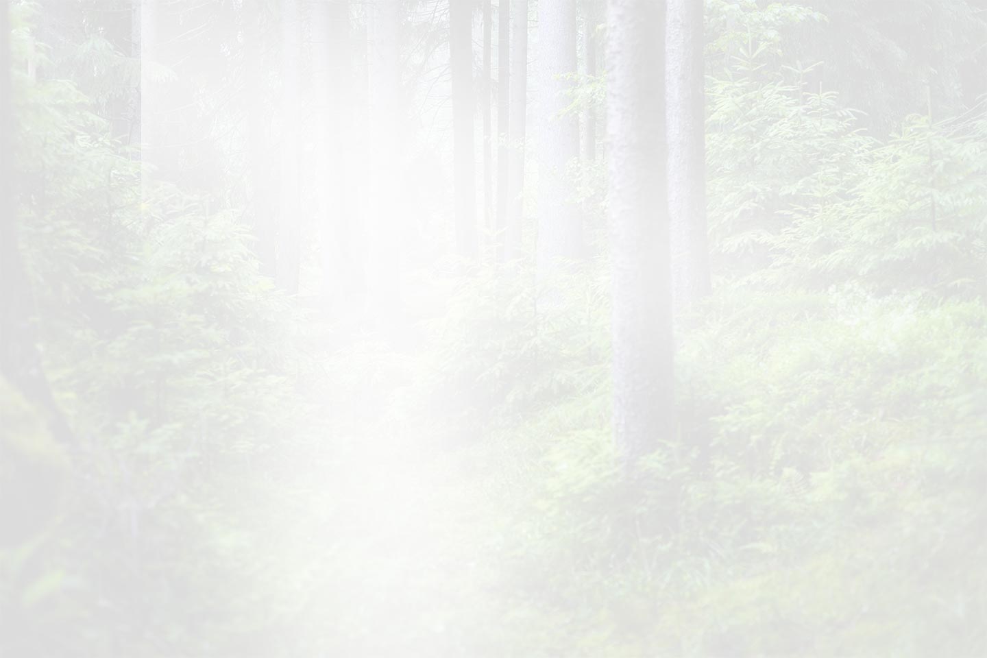 Zhejiang QianDuoMu Intelligent Decoration Co., Ltd.